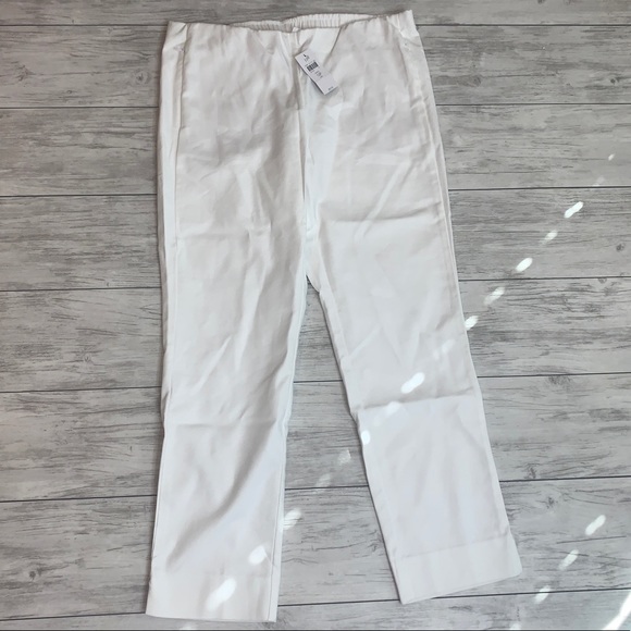 Essential Cotton Stretch Pants Nwt 